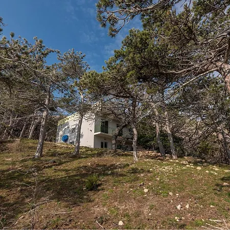 1 Bedroom Beautiful In *