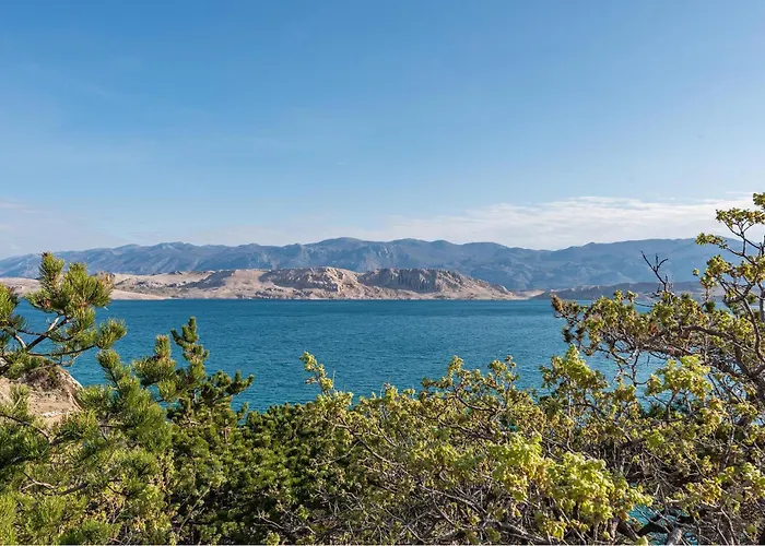 1 Bedroom Beautiful In *